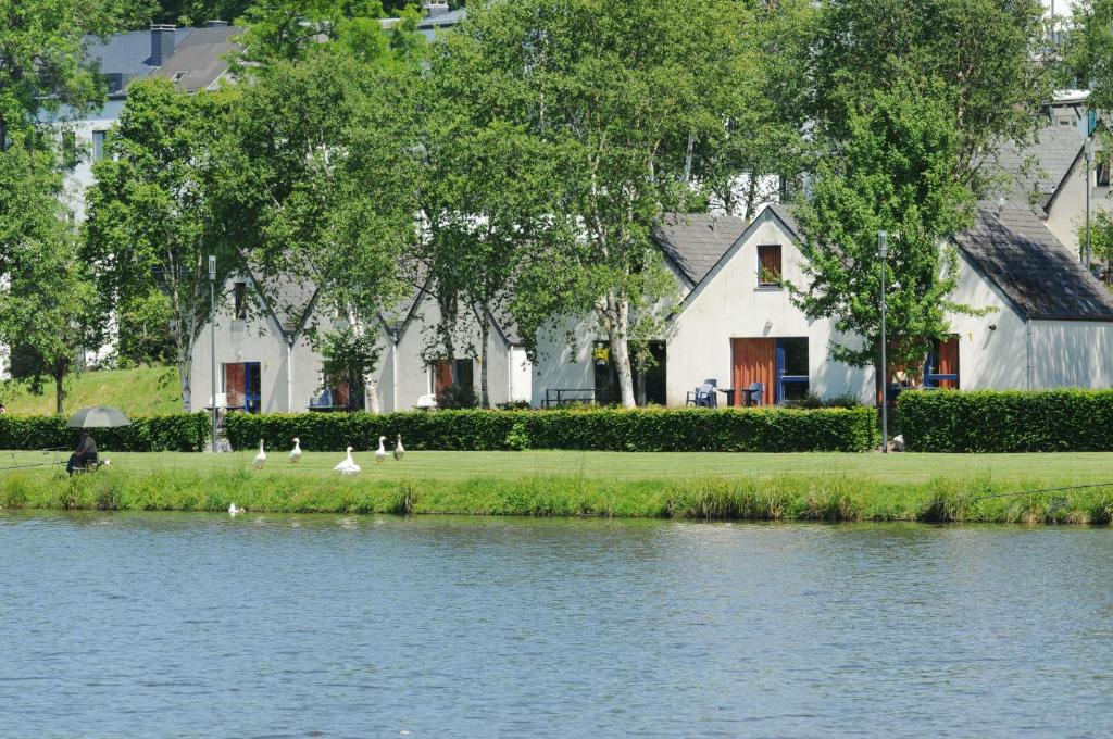 une maison à côté d'une rivière avec des oiseaux sur le rivage dans l'établissement Maison du Lac 14, à Vielsalm