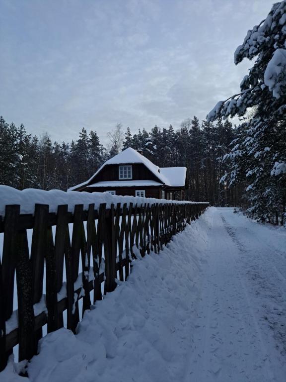 una casa con una valla cubierta de nieve en Sosnowy Domek en Harasiuki