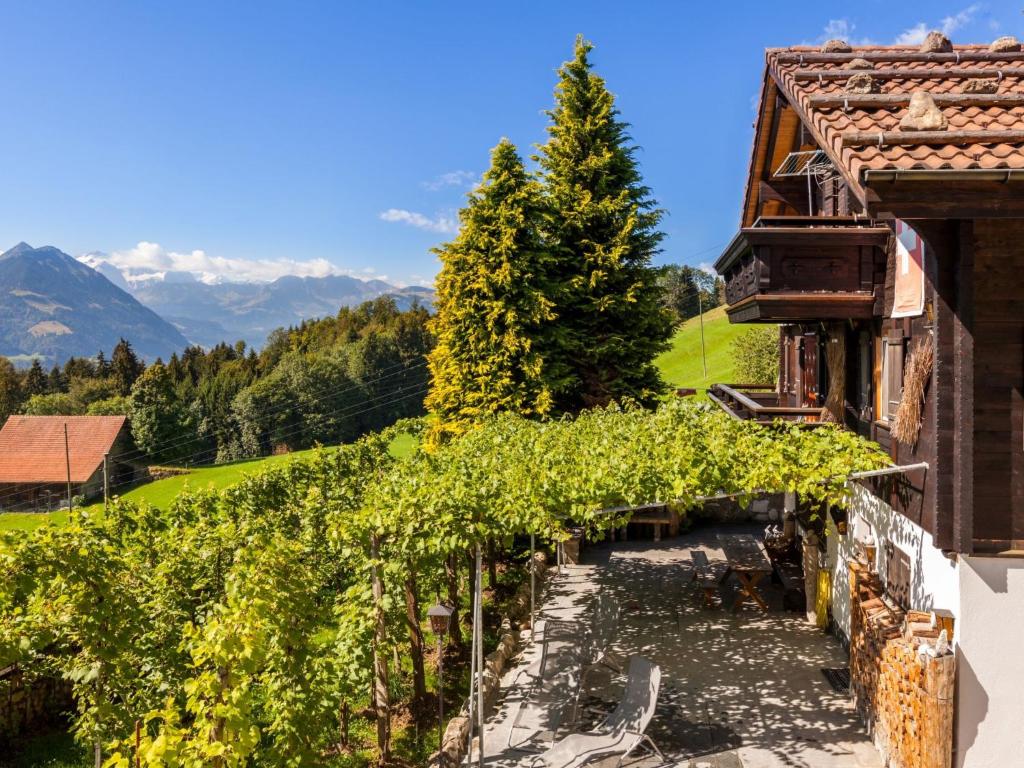 a row of vineyards on a hill next to a building at Holiday Home Chalet Zun by Interhome in Sarnen