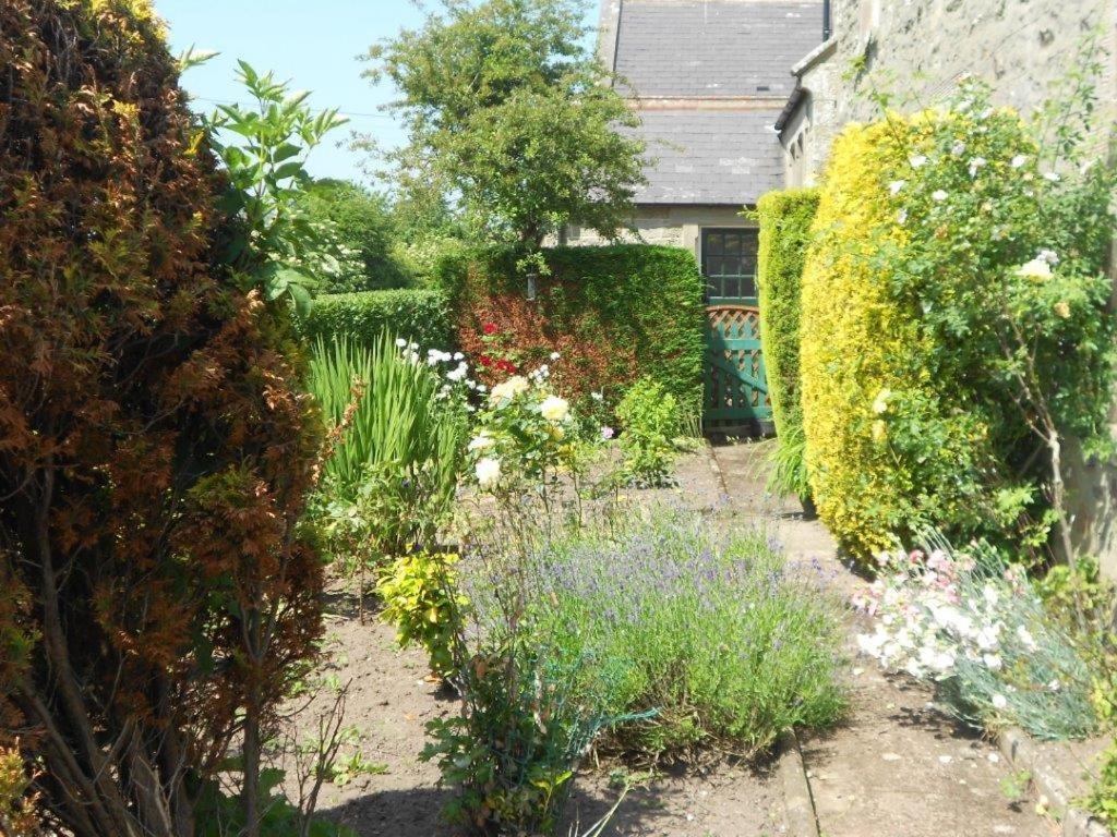 a garden with flowers and plants in front of a house at The Old School House Mordington in Mordington