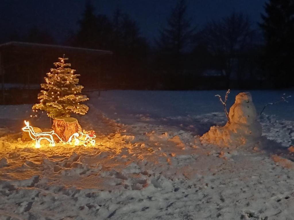 PRZYSTANEK nowEKOprzywno - Żółty Domek Pod Kasztanem v zime