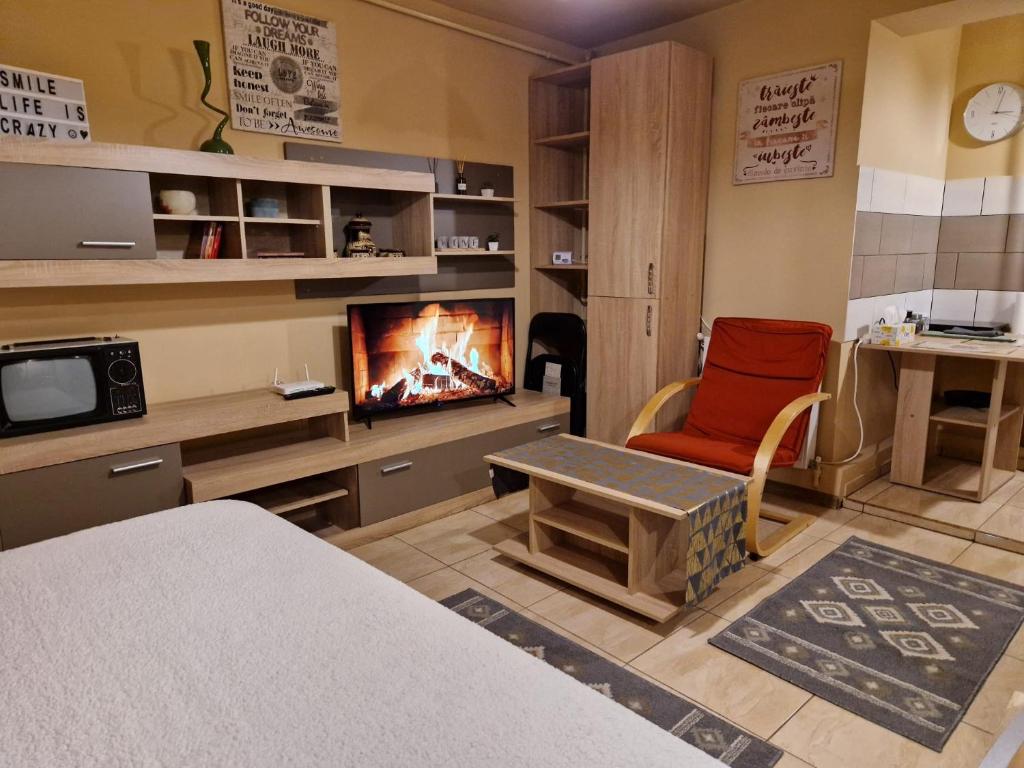 a room with a fireplace and a bed and a chair at Ana Studio in Hunedoara
