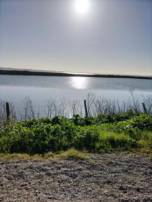 une vue d'un plan d'eau avec le soleil en arrière-plan dans l'établissement Dormez au coeur du village entre plage et polder, à Barbâtre