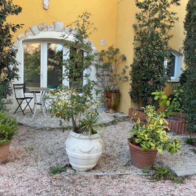 un patio avec des plantes en pot et une table ainsi qu'un bâtiment dans l'établissement Studio 28 m2 minimum 3 nuits, à Marseille