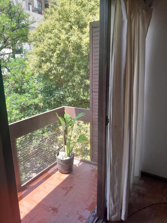 Hermoso dpto centrico externo c/ balcones