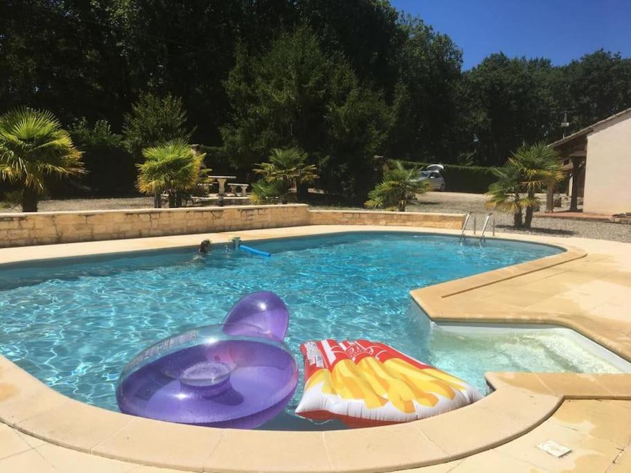 - une piscine avec un requin gonflable dans l'eau dans l'établissement Cottage with swimming pool, pool house and view !, à Dévillac