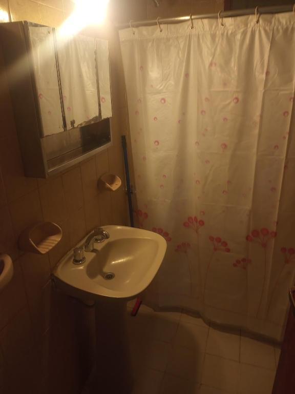 baño con lavabo y cortina de ducha en Casa el tala en Villa Santa Cruz del Lago