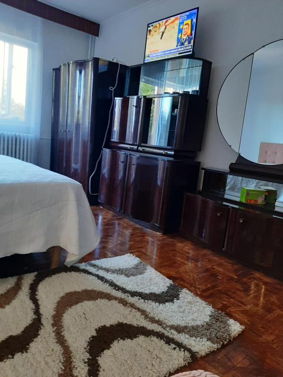 GarsonieraAnica felix