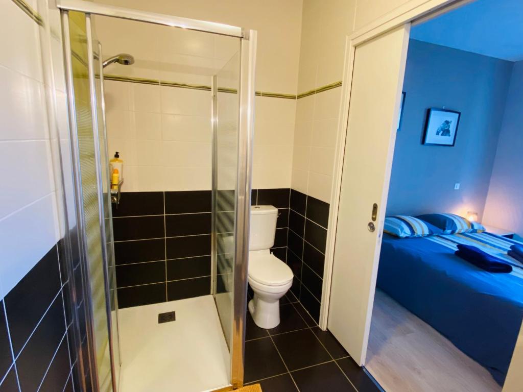 1 cama y baño con ducha y aseo. en Appartement T2 cosy à Rodez, en Rodez