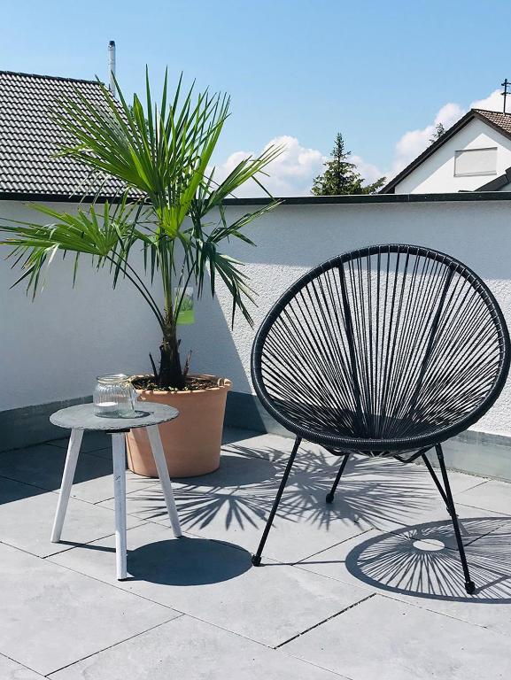 a bench and a table next to a plant at FERIENWOHNUNG SEEBRISE mit sonniger Dachterrasse in Uhldingen-Mühlhofen