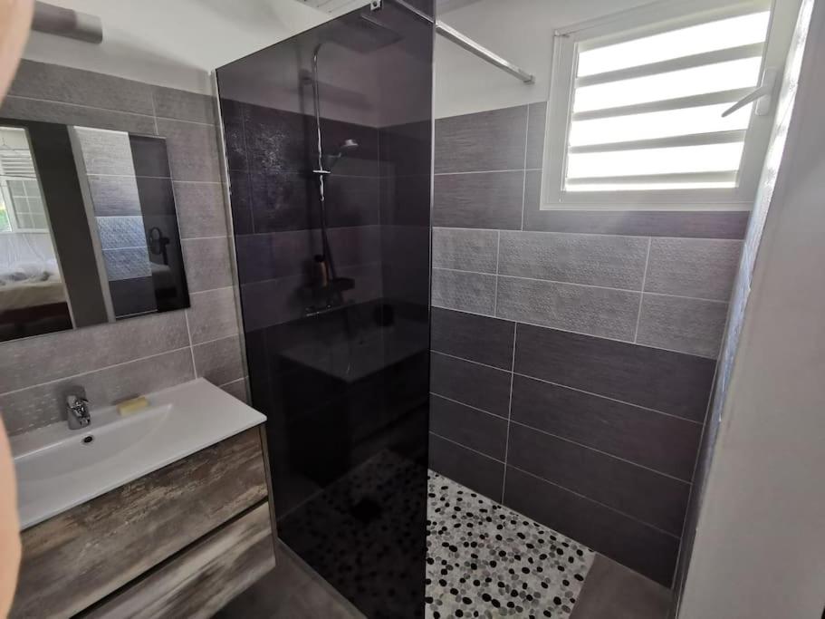uma casa de banho com um chuveiro, um lavatório e um espelho. em Coquette villa avec piscine proche des plages em Sans Pareil