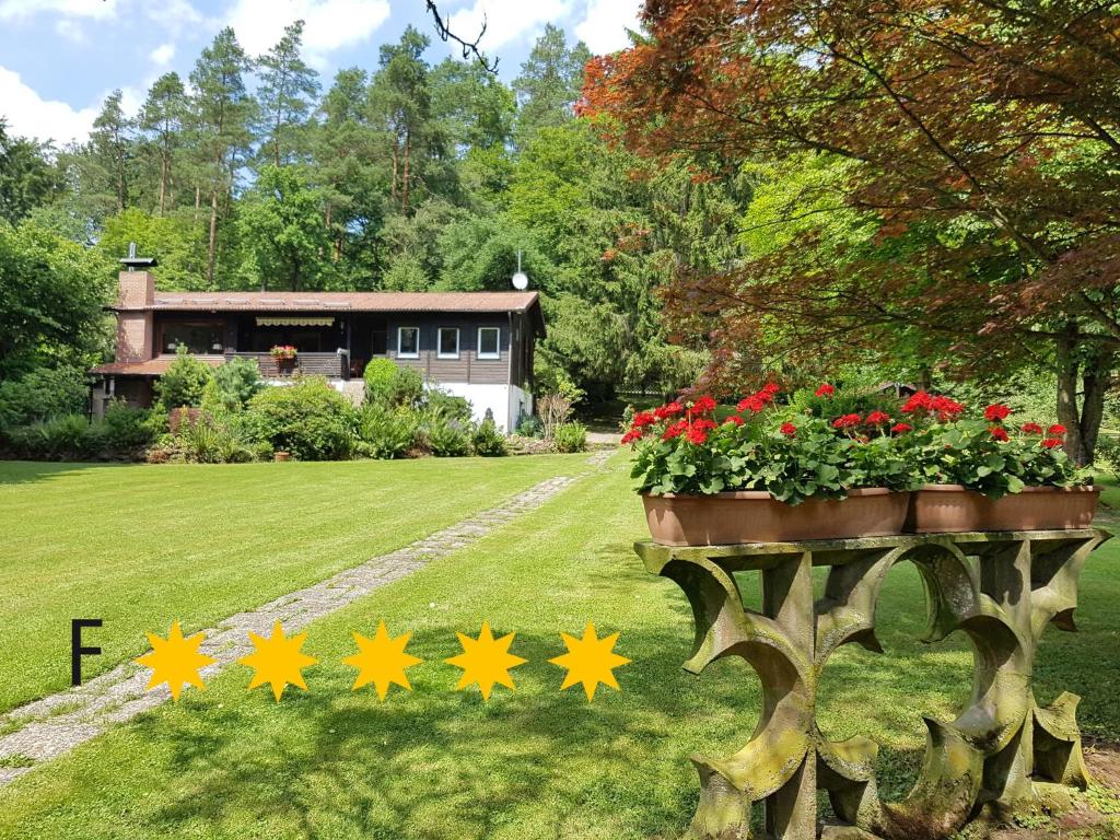 un jardín con una maceta de flores y estrellas en Ferienhaus Naturliebe 6000qm Parkgarten am Wald, umzäunt, Kamin, Sauna, en Laubach