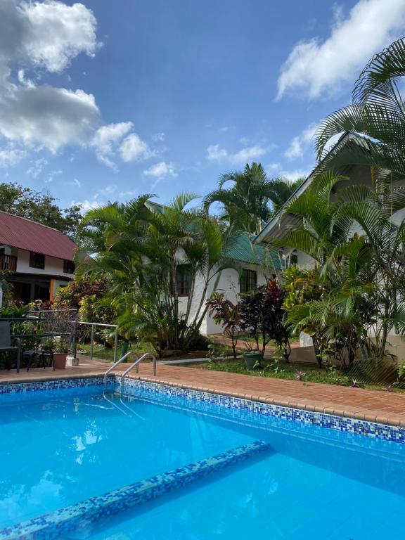 a swimming pool in front of a house with palm trees at Rainforest Yasmin Hotel in Santa Fé