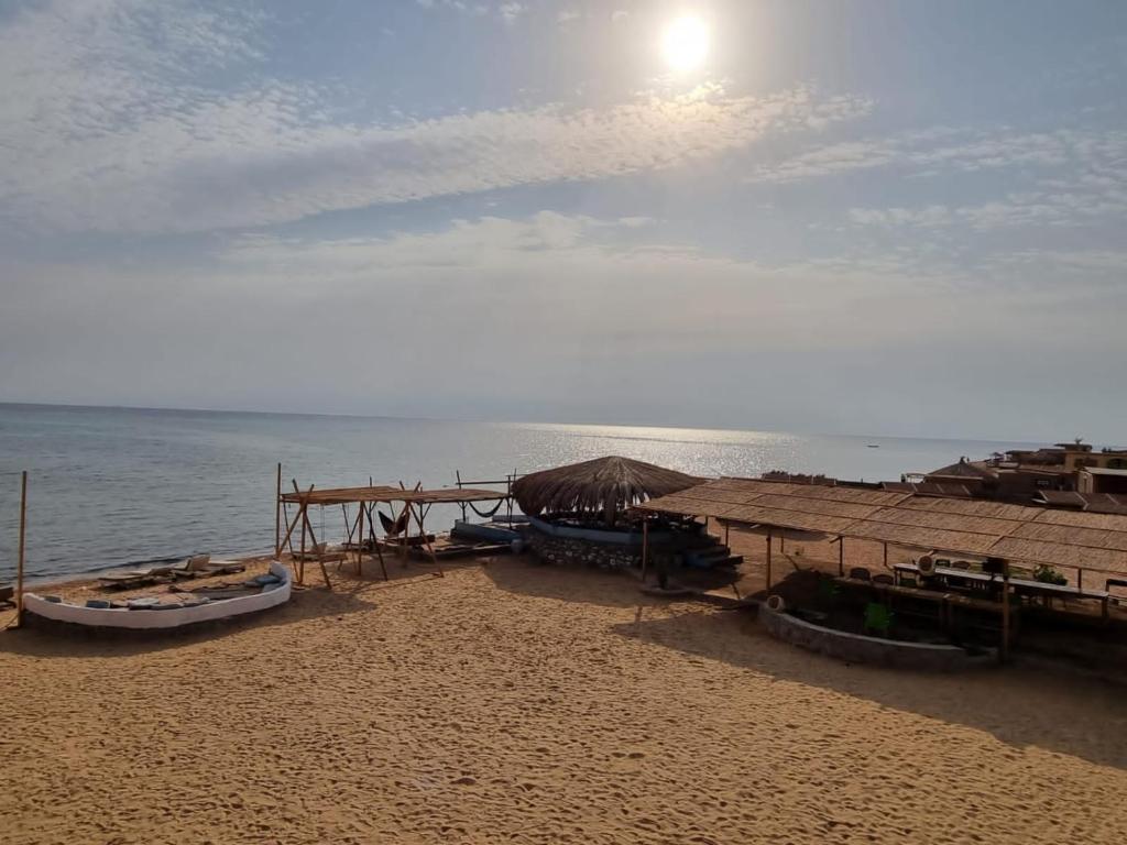 a sandy beach with umbrellas and the ocean at Life camp in Nuweiba