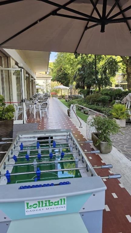 Stolní tenis v ubytování Hotel Rosa nebo okolí