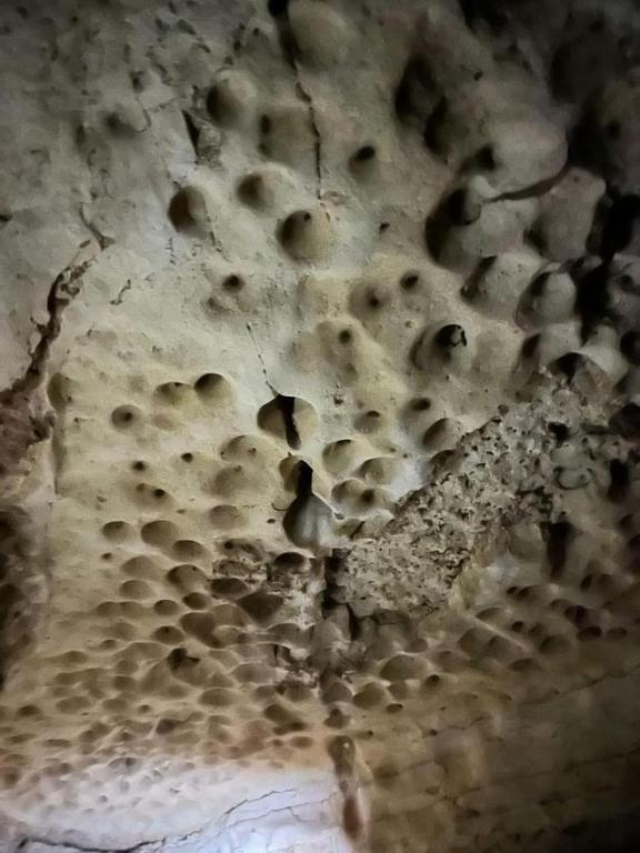 Fotografie z fotogalerie ubytování GITE LA GROTTE VALLEE v destinaci Aoûtouss