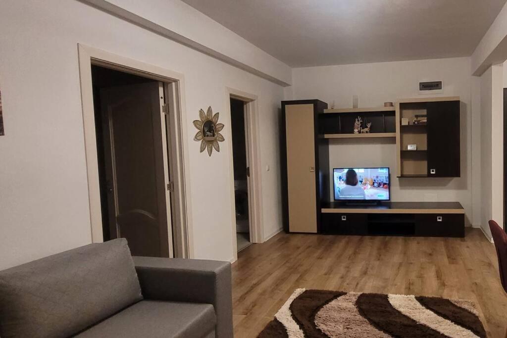 un soggiorno con divano e TV a schermo piatto di Apartament Sânpetru-Brașov a Sînpetru