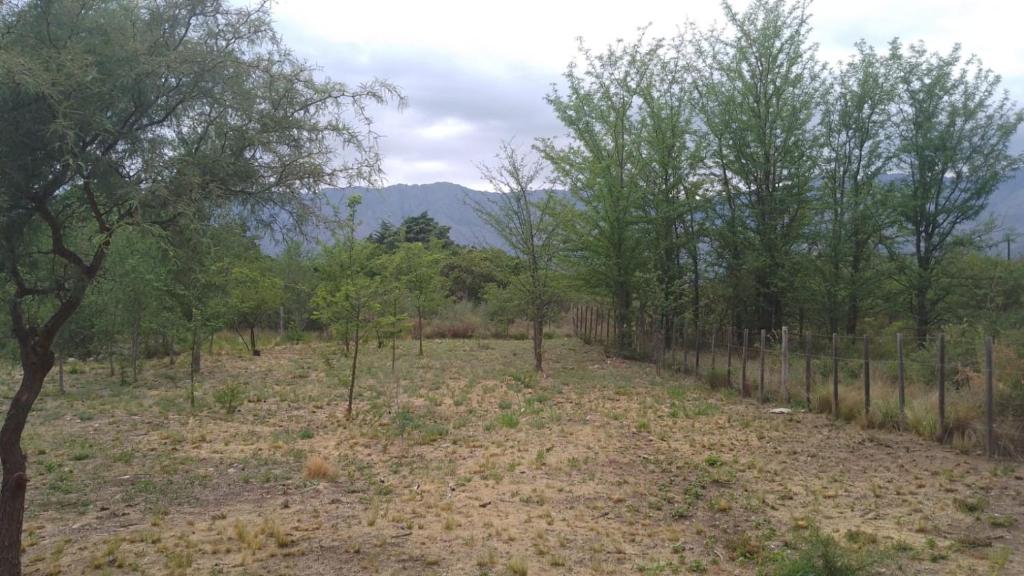 a field of trees with mountains in the background at Ganesha Casa Vacacional in Las Rabonas