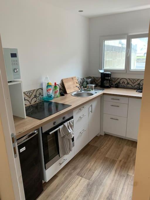 une cuisine avec un évier et un plan de travail dans l'établissement Magnifique Studio, à Plouvorn