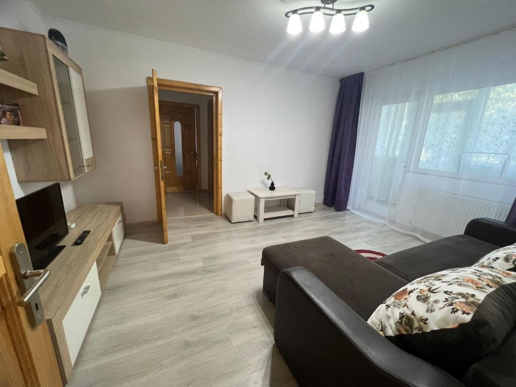 a living room with a couch and a television at Aparthotel Brasov Neptun in Braşov