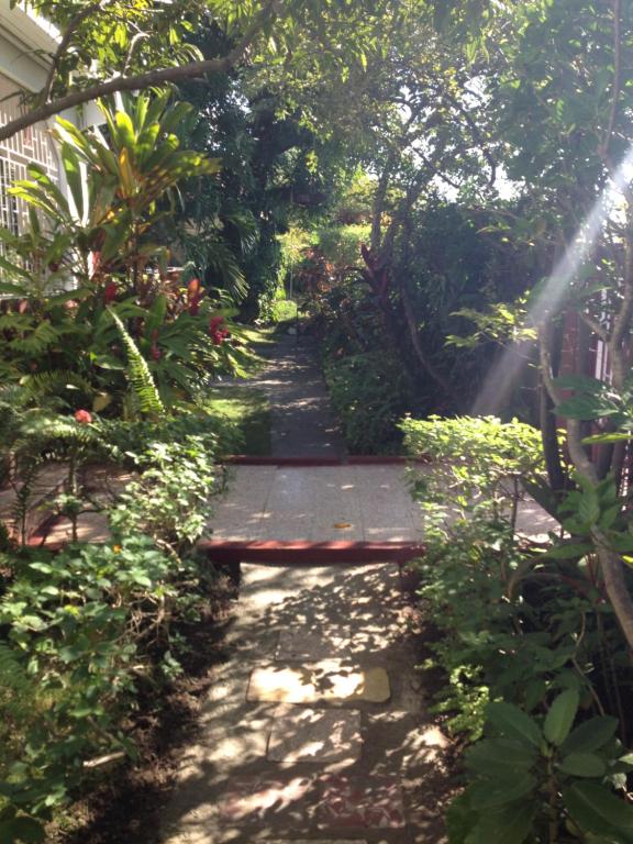 a path through a garden with trees and plants at Kingston Airport bed and breakfast in Kingston
