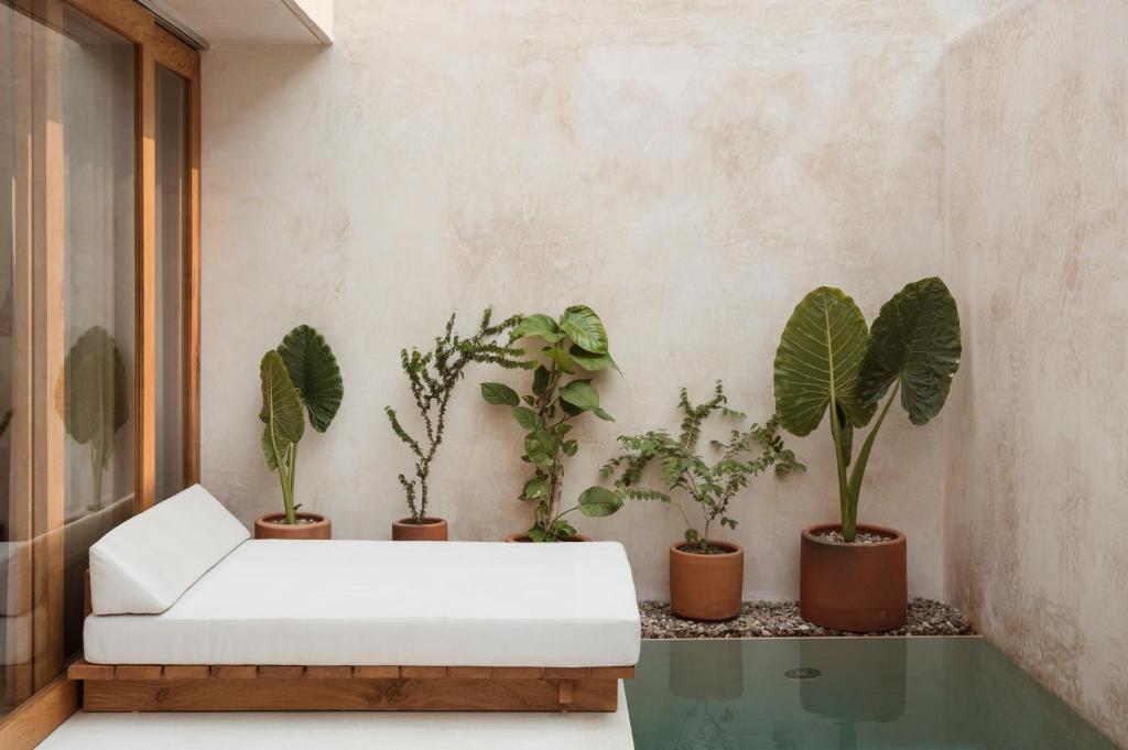 Zimmer mit Topfpflanzen und weißem Sofa in der Unterkunft Lunaya in Puerto Escondido