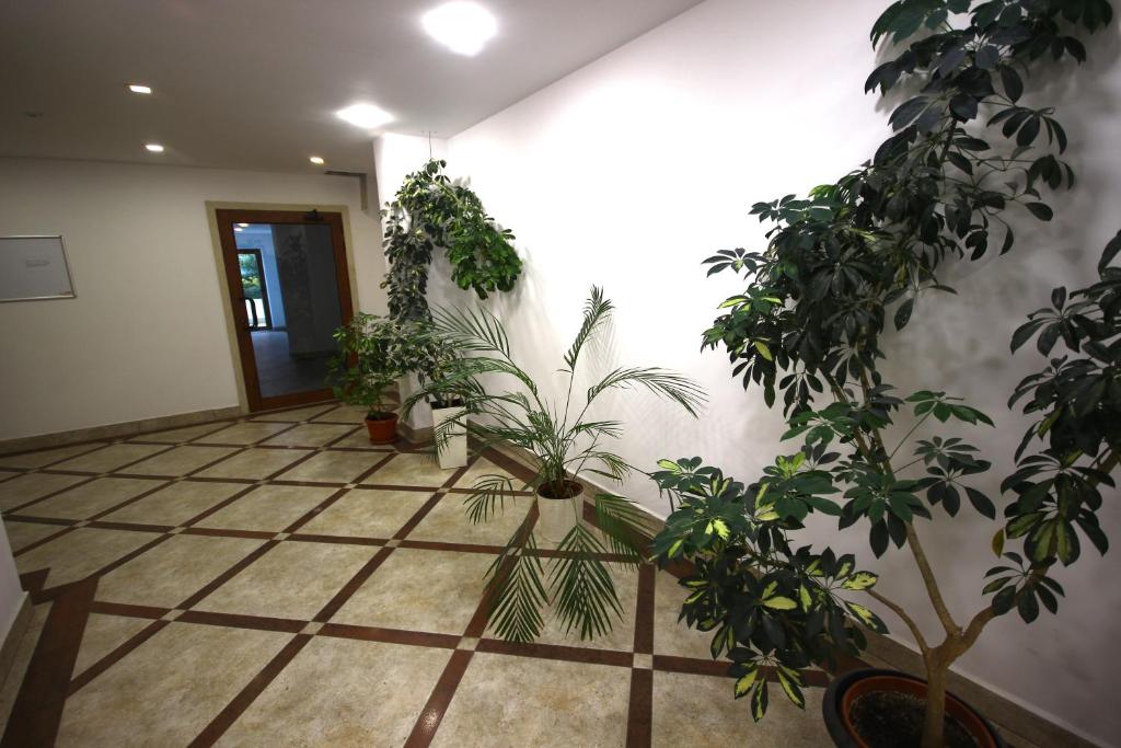 Fotografie z fotogalerie ubytování SOFIA CENTRAL LUXURY APARTMENT "2A" with parking v Sofii