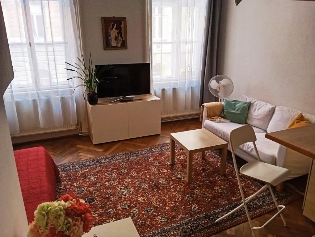 Televízia a/alebo spoločenská miestnosť v ubytovaní Cozy studio in central Budapest near ruined bars