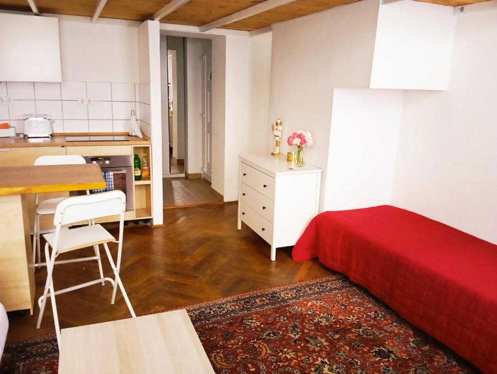 Kuchyňa alebo kuchynka v ubytovaní Cozy studio in central Budapest near ruined bars