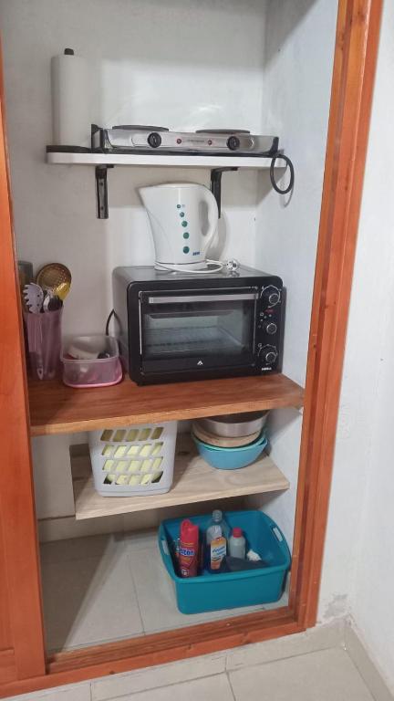 Las orquídeas
