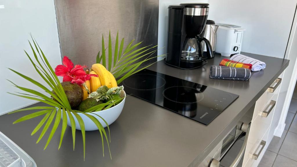 Kuchyň nebo kuchyňský kout v ubytování La villa Jalna Grenadine deux chambres et piscine privée