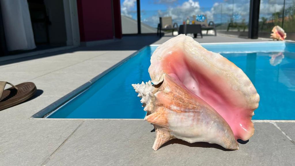 Bazén v ubytování La villa Jalna Grenadine deux chambres et piscine privée nebo v jeho okolí