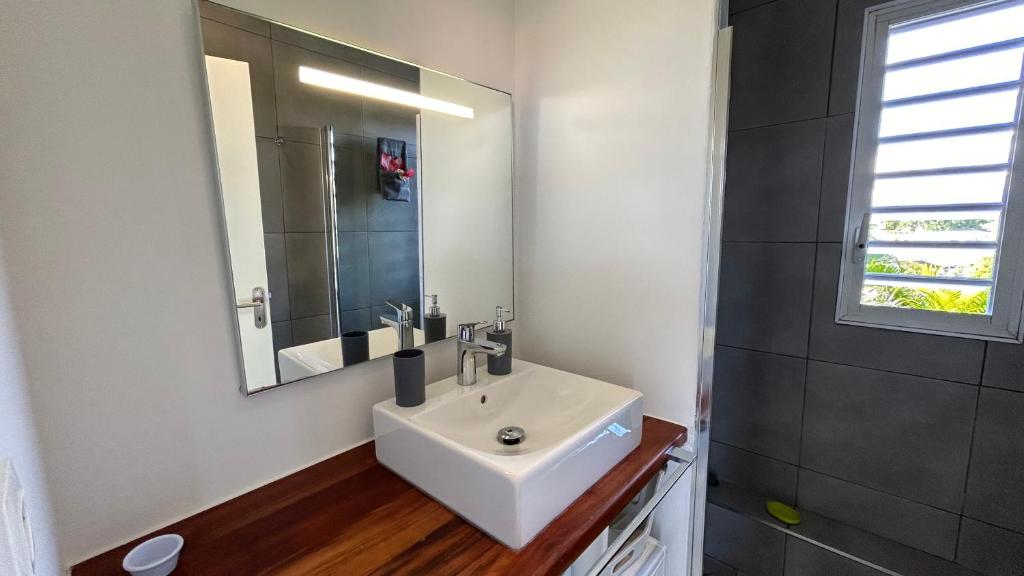 Koupelna v ubytování La villa Jalna Grenadine deux chambres et piscine privée