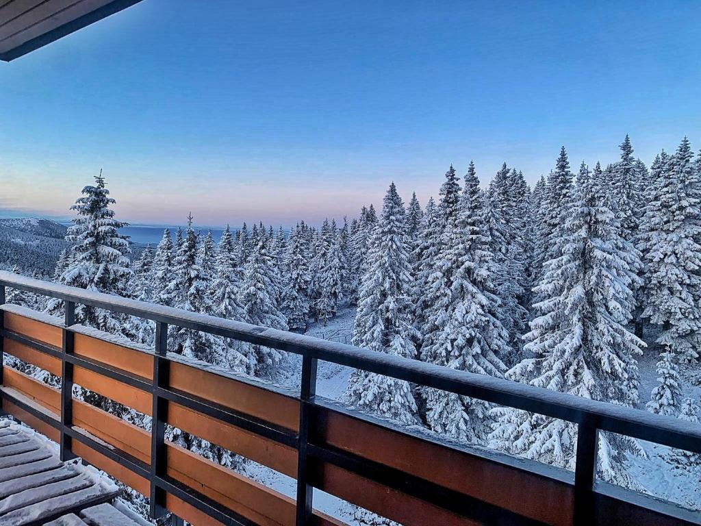 Příroda nedaleko hotelu