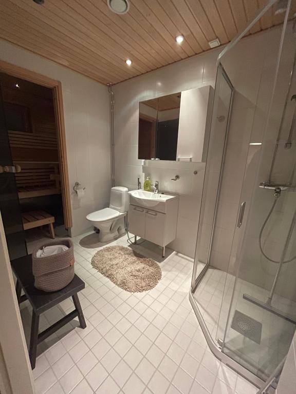 een badkamer met een douche, een wastafel en een toilet bij Levistar311 in Sirkka