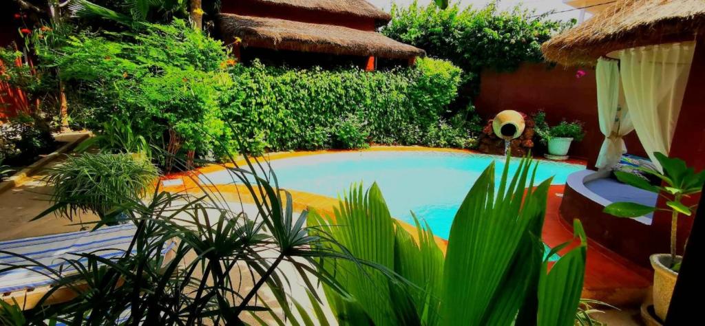 una pequeña piscina en un jardín con plantas en Chambres d'hôtes Les Cases BéNaDou en Ngaparou