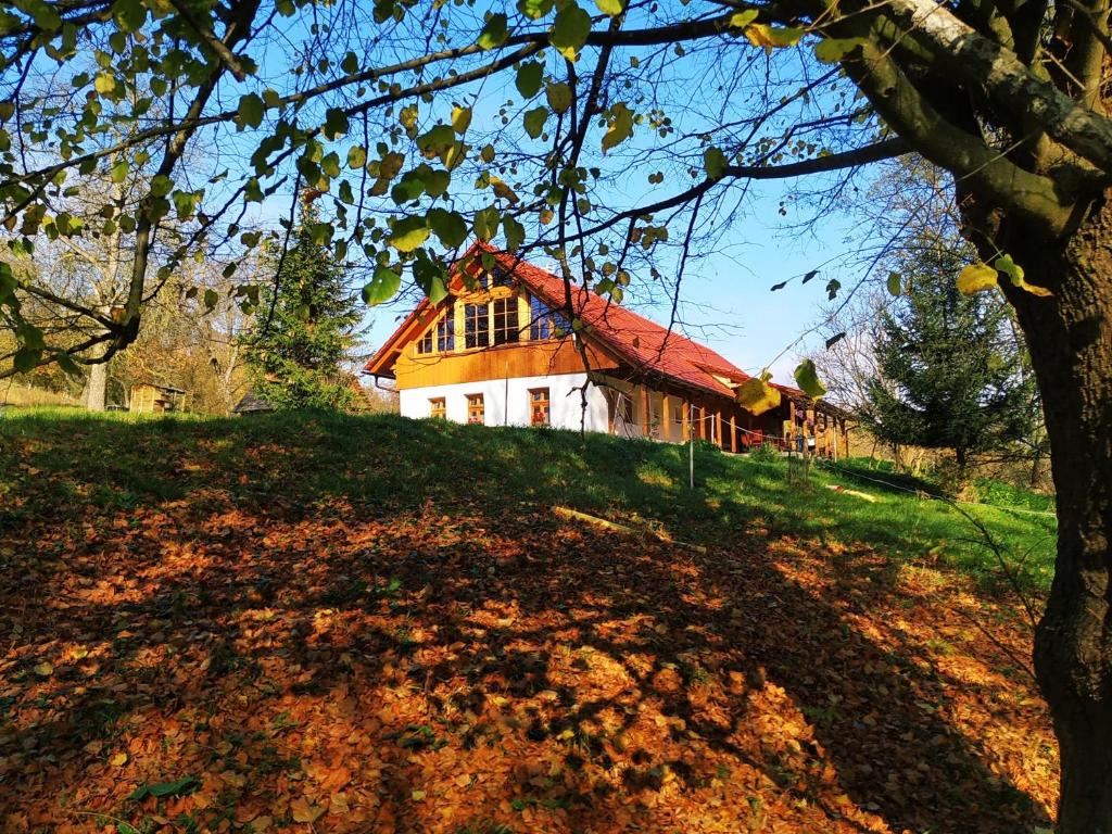 una casa en la cima de una colina con un árbol en Chalupa Nonnetit, en Vápenice