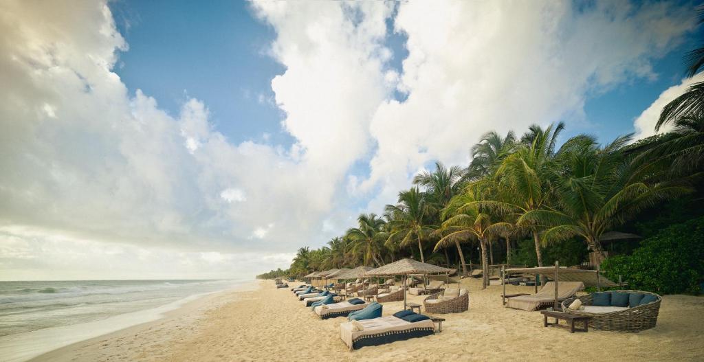 Be Tulum Beach & Spa Resort في تولوم: شاطئ به كراسي وأشجار النخيل والمحيط