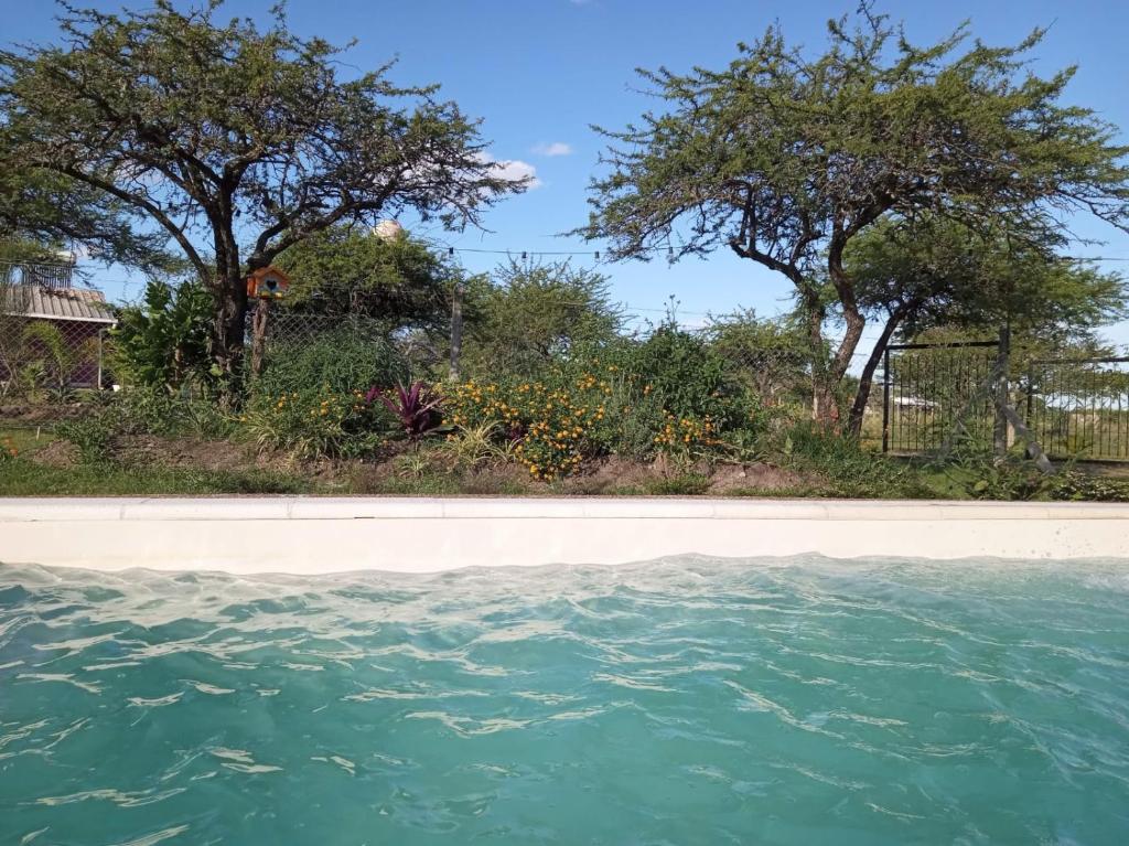 una piscina de agua con árboles en el fondo en "AGUAPÉ" Alojamiento rural con PILETA en Chajarí