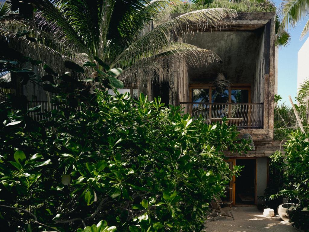 Zahrada ubytování Be Tulum Beach & Spa Resort