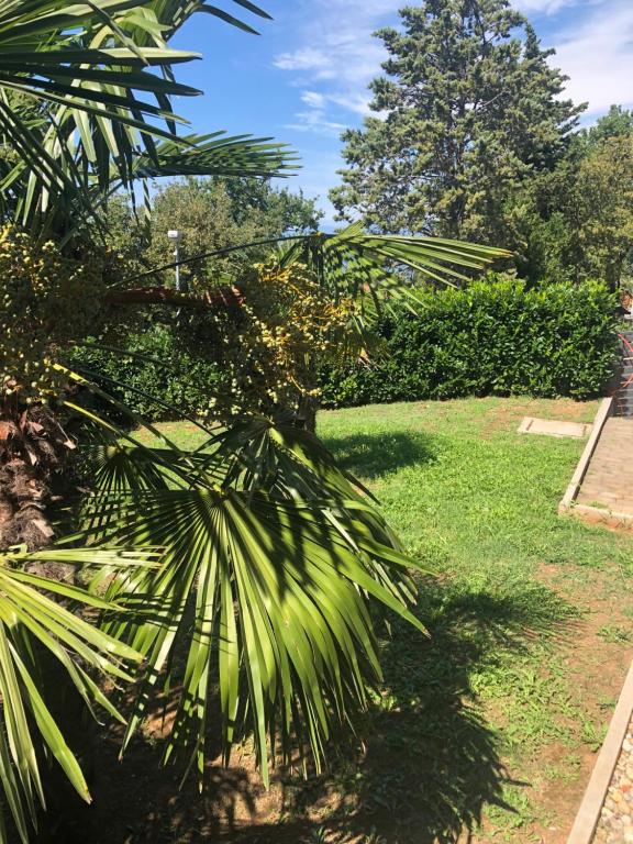 Vonkajšia záhrada v ubytovaní Villa Rudy Holiday Home