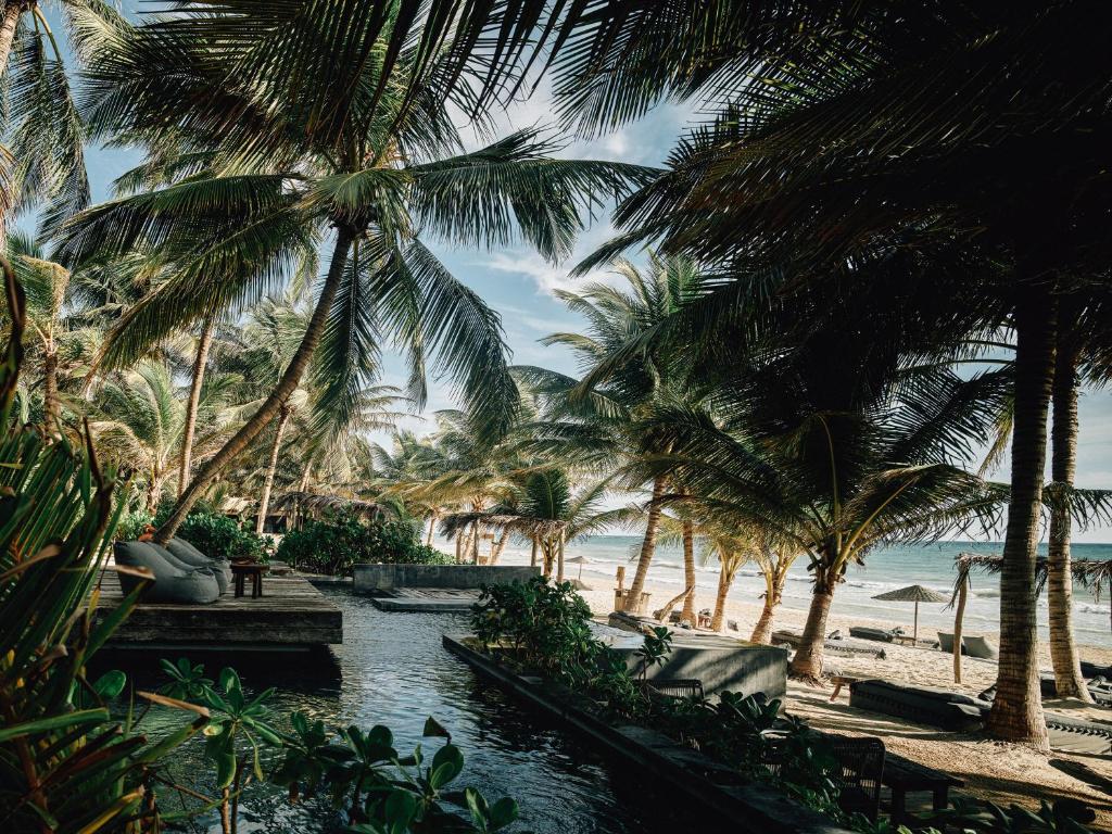 a beach with palm trees and a body of water at Nomade Tulum in Tulum