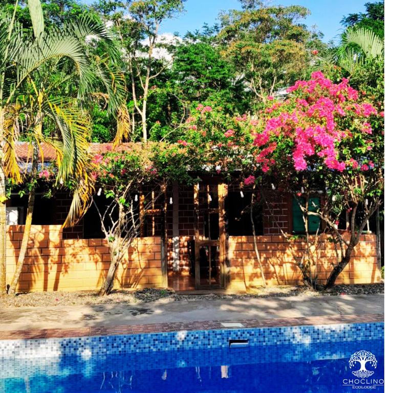 CHOCLINO ECOLODGE -Bungalows con Piscina privada, Mirador y Tours en la selva