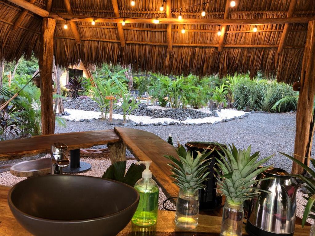 Zahrada ubytování Cabinas de Lou Eco Lodge TAMARINDO