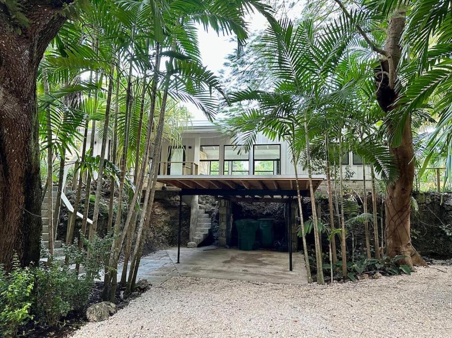 a house with palm trees in front of it at Coconut Grove Mid-Century Jungle Oasis in Miami
