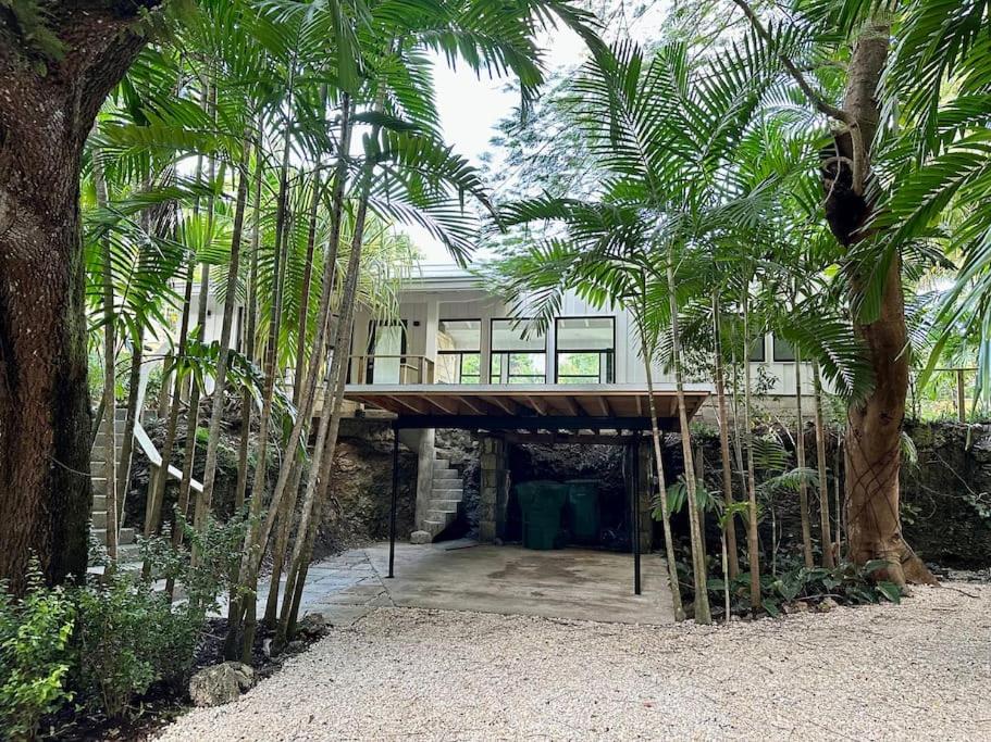 Zahrada ubytování Coconut Grove Mid-Century Jungle Oasis
