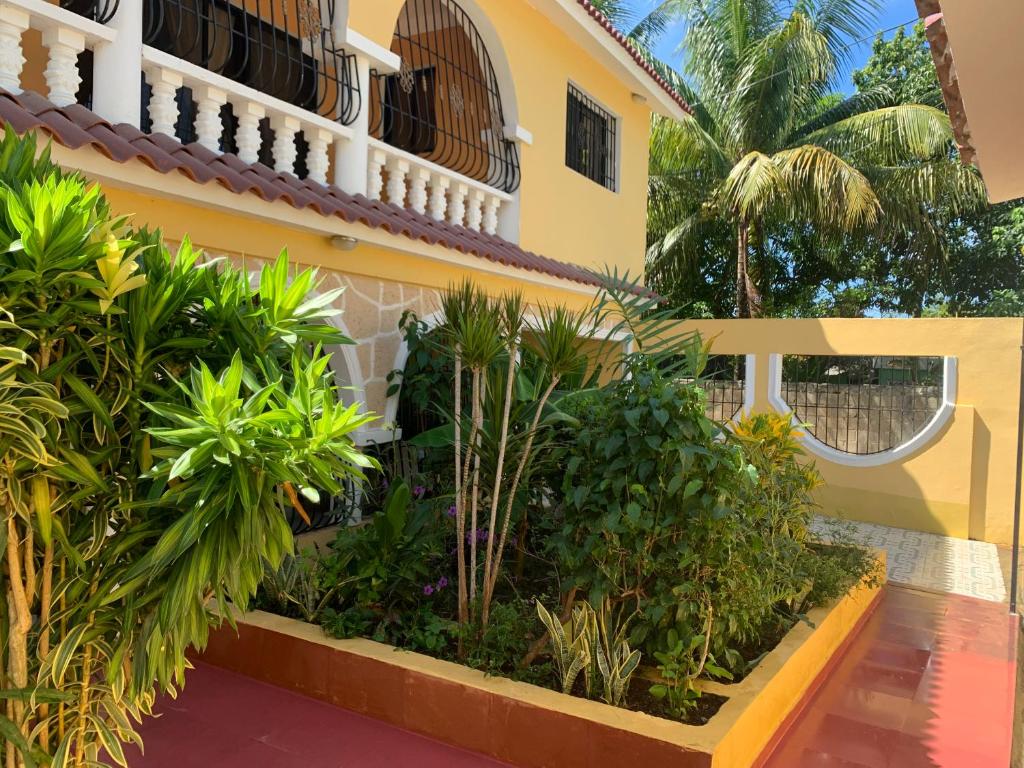 a building with a bunch of plants in a courtyard at Casa Francesca in Boca Chica
