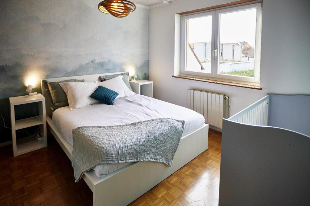 Maison 140m2 au calme - Beau jardin - à 15mn à pied du Centre-ville de COLMAR – photo 23