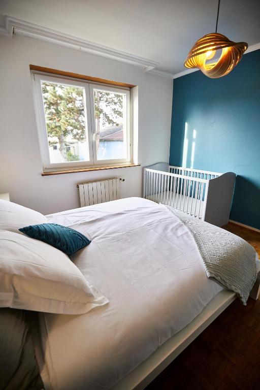 Maison 140m2 au calme - Beau jardin - à 15mn à pied du Centre-ville de COLMAR – photo 26