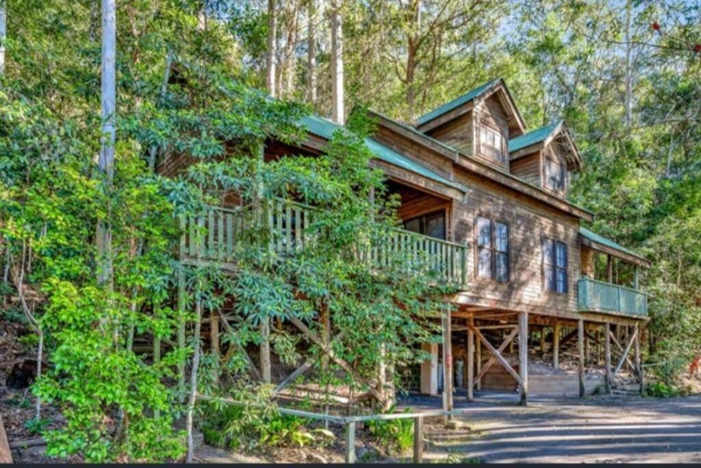 Cedar Lodge Barrington Tops Salisbury, Chichester (updated prices 2024)